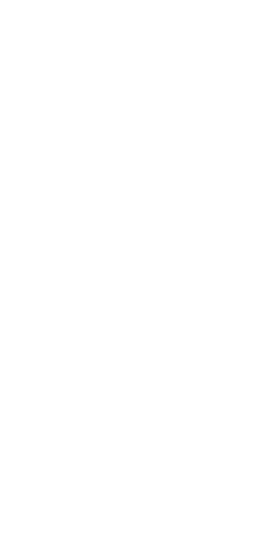 Yves Saint Laurent (YSL)